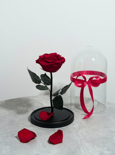 Роза Premium-Малина